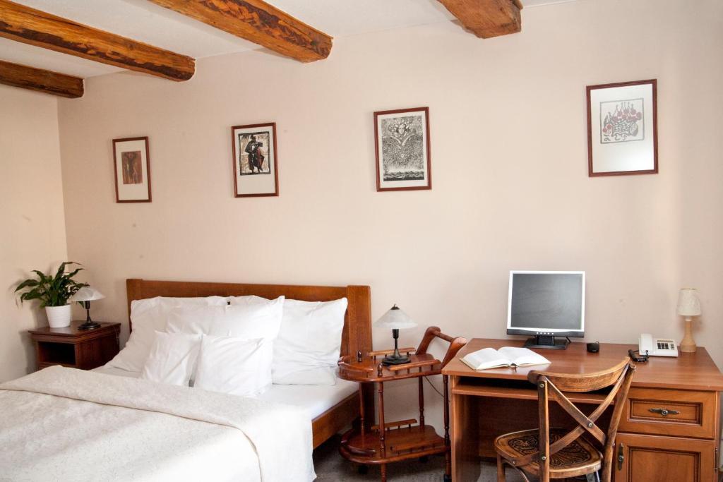 Hotel U Zlateho Lva Havlíčkŭv Brod Værelse billede